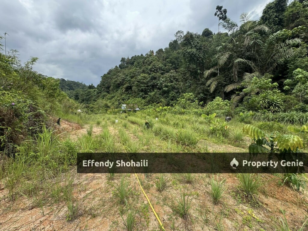 SUNGAI LONG HULU LANGAT TANAH PERTANIAN