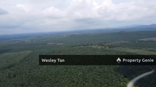 495-Acre Freehold Agricultural Land Jasin, Rim Melaka For Sale / Rent
