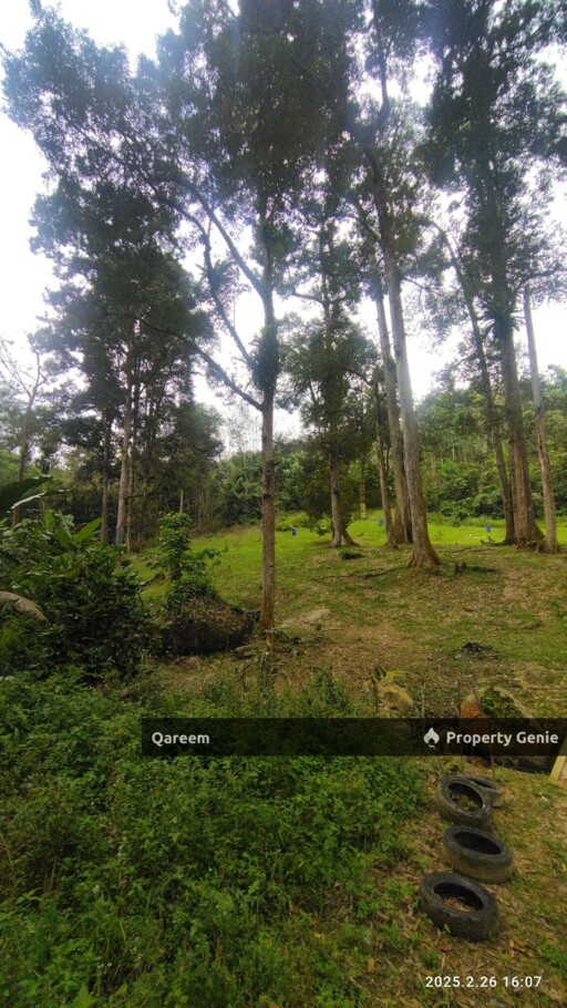 3.84 Ekar Dusun dan Sungai Jernih Cantik, Batang Kali