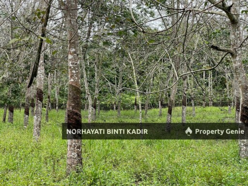 TANAH PERTANIAN KEBUN GETAH 7.5 EKAR DI PENOR