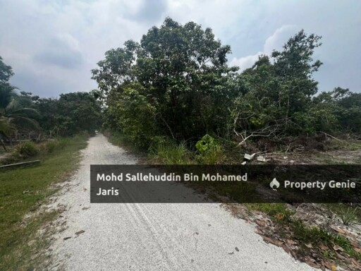 TANAH PERTANIAN 1 EKAR KG SERI DAMAI, KUANTAN PAHANG