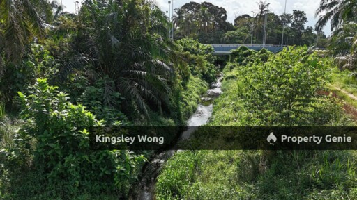 Taiping Perak Freehold Agriculture Land Can convert to Industrial title