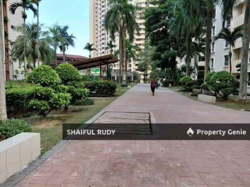 Want to Let. Palm Spring @ Damansara