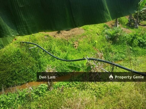 Raub Sungai Ruan Durian Farm for Sale !!