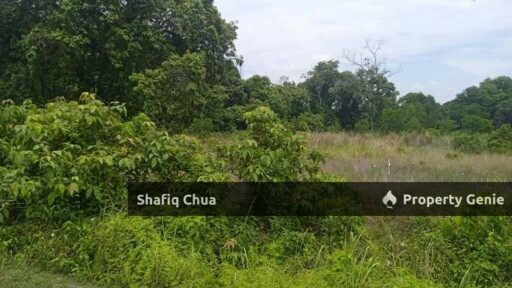 Prime Land for Sale in Pekan Pahang