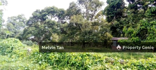 Bemban,Ayer Molek Melaka