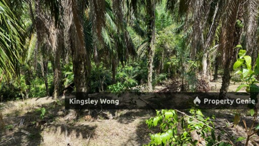Sg Siput Perak Freehold Oil palm Agricultural land 3.5 acres  Slope land
