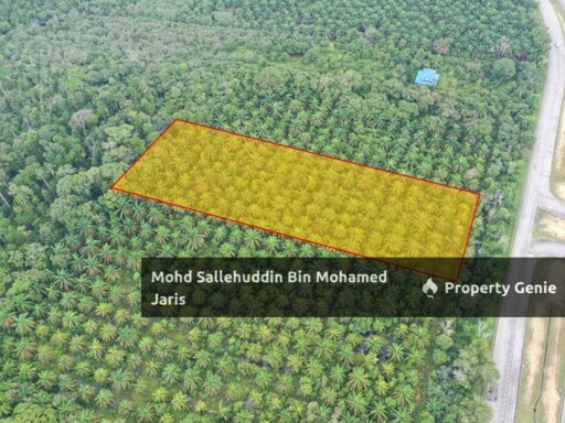 [FREEHOLD] TANAH PERTANIAN 2.5 EKAR TEPI JALAN UTAMA BYPASS KUANTAN-PEKAN