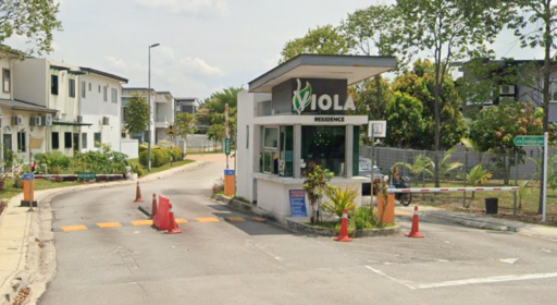 Viola, Alam Impian