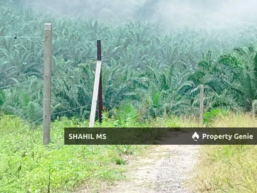 SEGAMAT JOHOR || LABIS || TANAH PERTANIAN || 1.3486 EKAR || RM125,000.