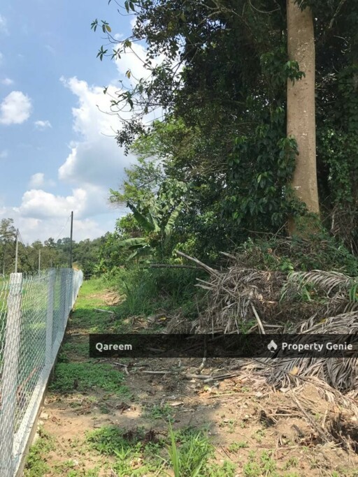 2.98 Ekar Tanah Pertanian Hulu Tamu Batang Kali. Sesuai Bina Rumah