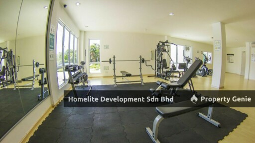 Homelite Eco Park