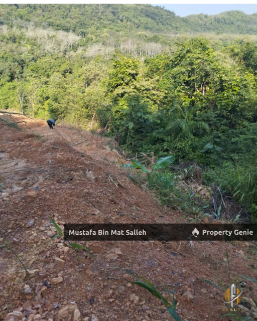 Tanah Kebun Getah Klon PB 350 Lubok Datu Pokok Sena Kedah