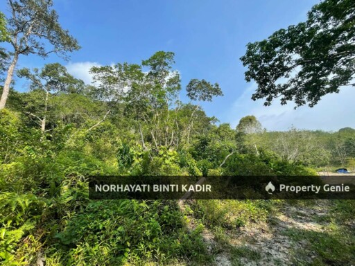 (HOT AREA) TANAH KEBUN DI BUKIT KUIN 2, KUANTAN