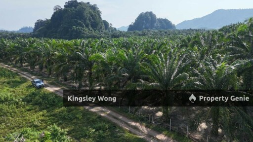 Sungai Siput Jalong Tinggi Freehold Agricultural Land 5 from Main Road
