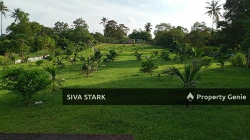 Agriculture Land At Kluang , Near Stadium Kluang