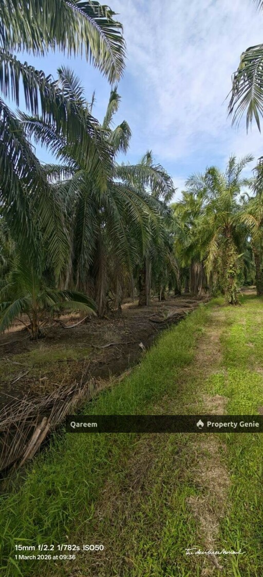 26764Sft Sungai Gulang Gulang Tanjung Karang Kuala Selangor