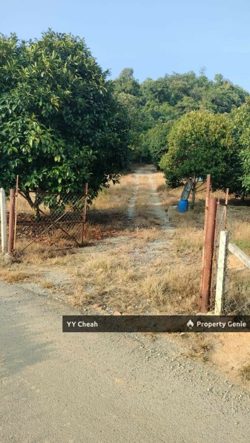 Kuala Kangsar Perak - freehold agriculture for sale, 4 acres, easy access