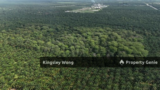 Taiping Perak Freehold Agriculture Land Can convert to Industrial title