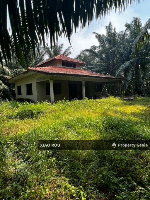 For Sales Lendu Land