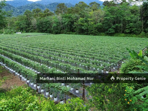 Tanah Sungai Lui @ Hulu Langat