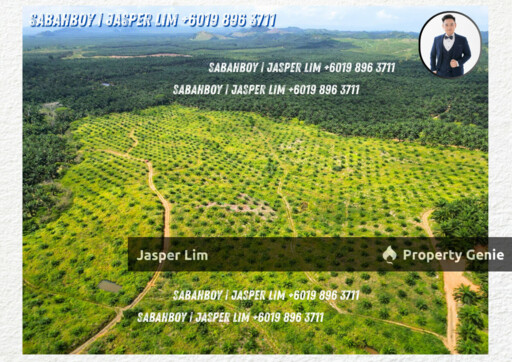 Kunak Plantation Land