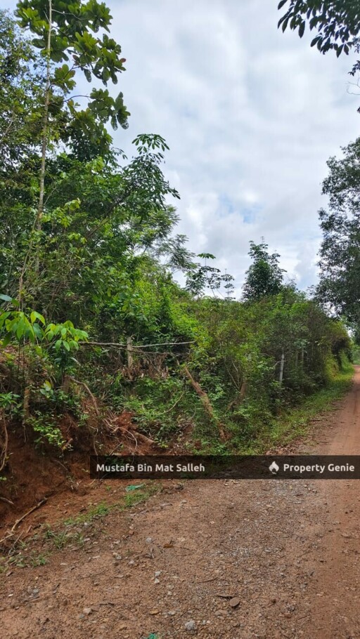 [Kebun Getah] Bukit Ular, Padang Terap, Kedah
