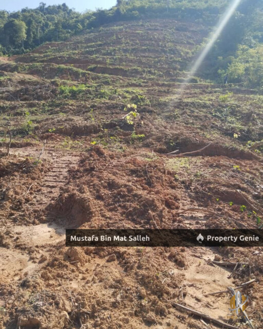 Tanah Kebun Getah Klon PB 350 Lubok Datu Pokok Sena Kedah