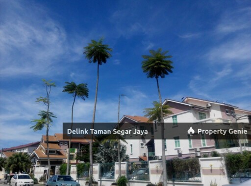 Delink Taman Segar Jaya