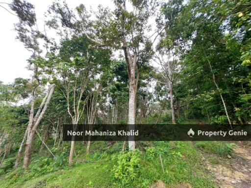 Tanah Pertanian Kampung Ibol Seberang @ Solok Lanjut Manis, Terachi Kuala Pilah