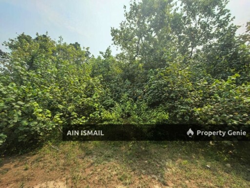 [LOKASI HOT] TANAH TEPI PANTAI BAGING SUNGAI ULAR, KUANTAN