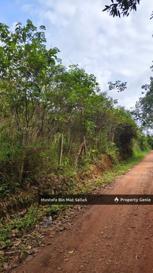 [Kebun Getah] Bukit Ular, Padang Terap, Kedah