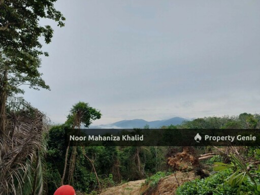 Tanah Pertanian Kampung Ibol Seberang @ Solok Lanjut Manis, Terachi Kuala Pilah
