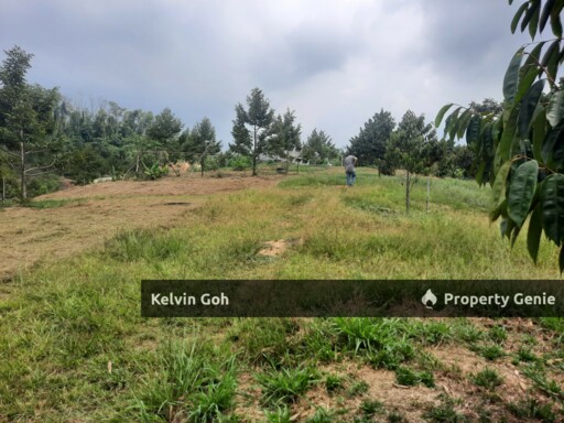 10 Acres Agriculture Land Freehold Temiang Seremban