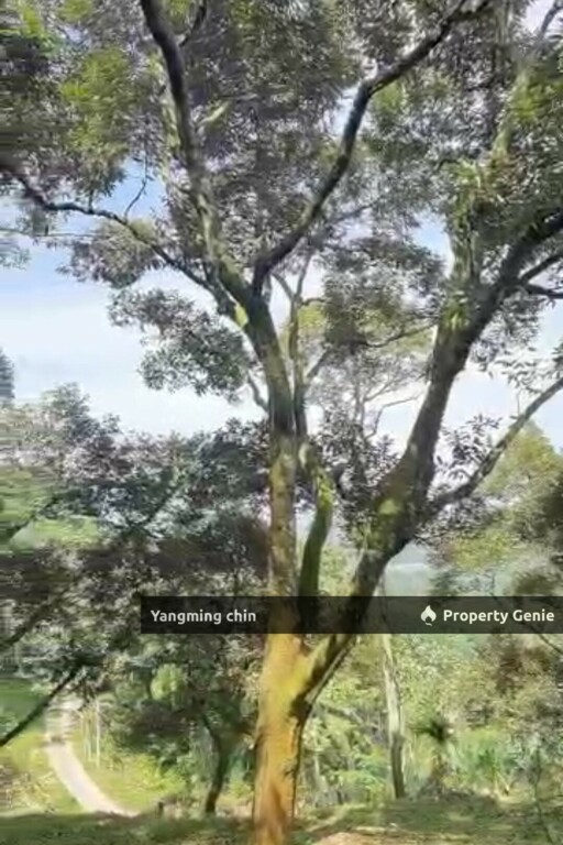 Chenderiang, Tapah Land For Sale