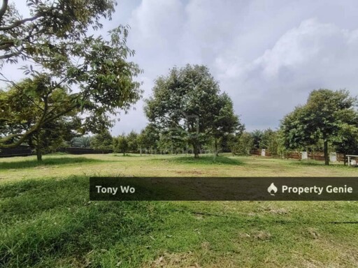 Durian Farm For Sale