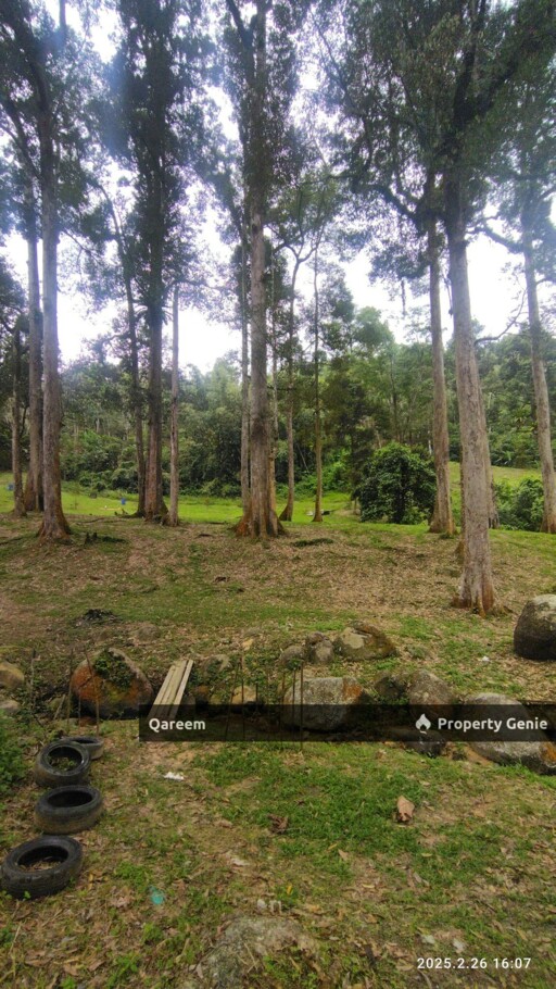 3.84 Ekar Dusun dan Sungai Jernih Cantik, Batang Kali