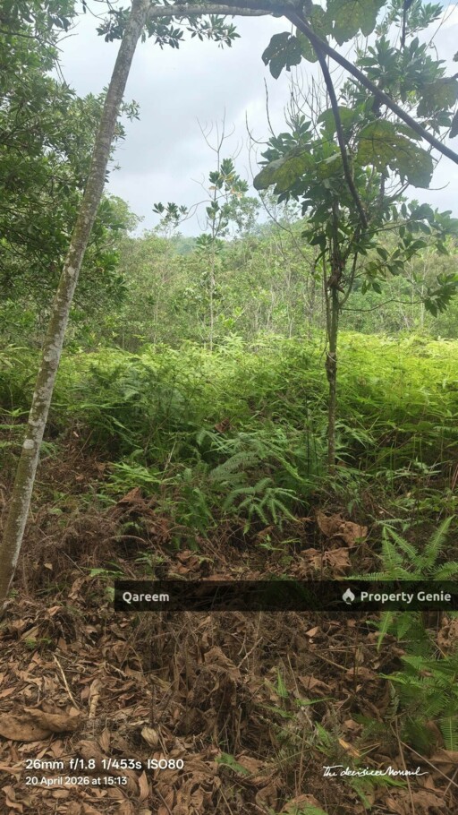 5 Ekar Sungai Tekali. Hulu Langat