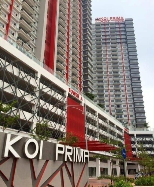 Koi Prima