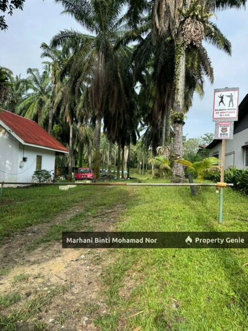 Mature Durian Farm • Tanah Suku Ekar • Kuang