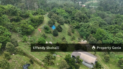 KUALA KANGSAR DURIAN ORCHARD WITH BUNGALOW