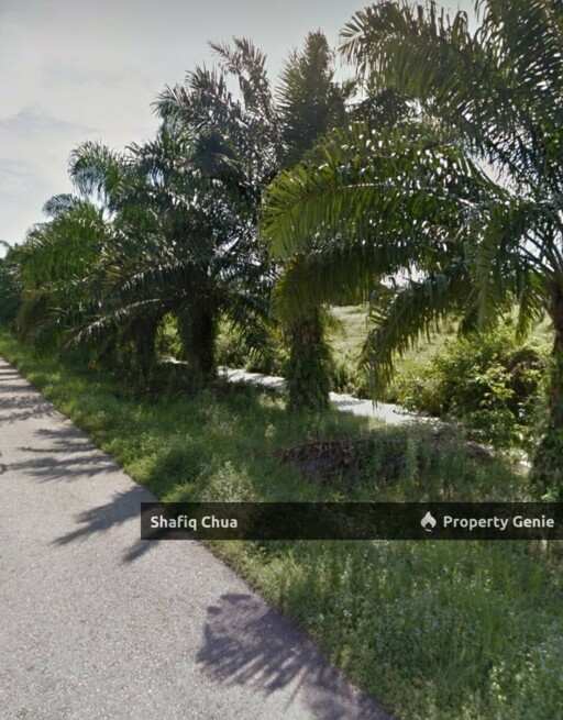 Agriculture Land Within Industrial Zone in Jalan Maharajalela, Jeram
