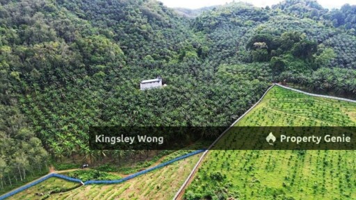 Sungai Siput Jalong Perak Freehold 8.3 Acres Agriculture Land Flat & Sloppy Land