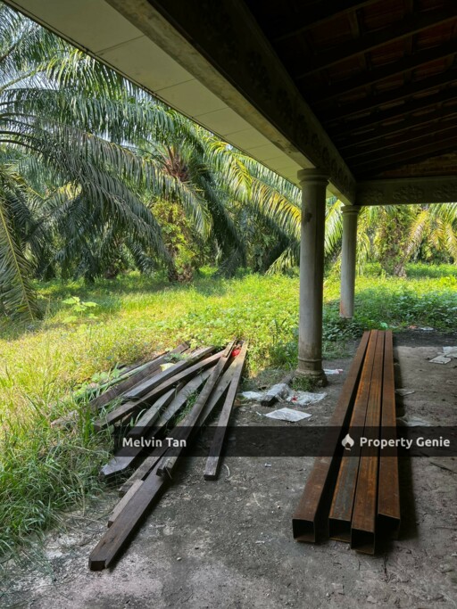 Alor Gajah,Lendu