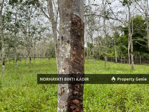 TANAH PERTANIAN KEBUN GETAH 7.5 EKAR DI PENOR