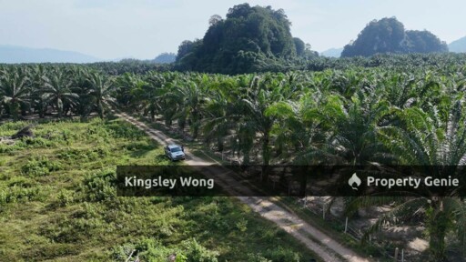 Sungai Siput Jalong Tinggi Freehold Agricultural Land 5 from Main Road