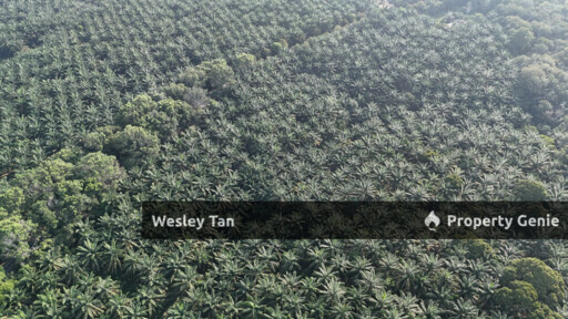 Jasin Jln Tehel Freehold Mainroad 9.9acres Matured Palm Oil Agri Land