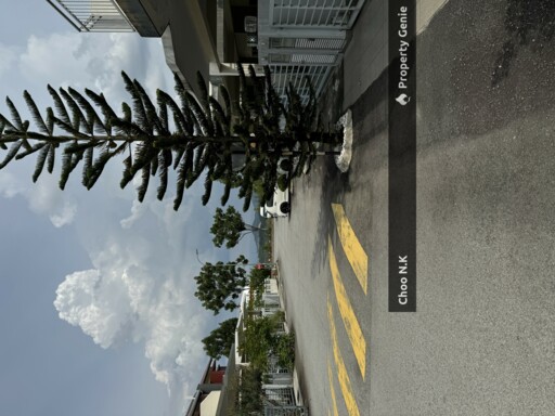 Jati Heights, Nilai Putra