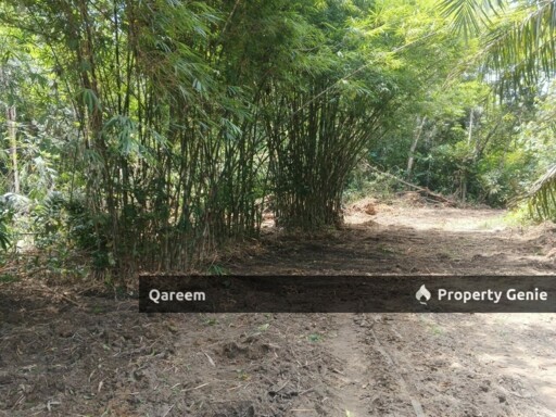 [FEEEHOLD] 3 Ekar Pekan Rasa, Sebelah Sungai. Batang Kali