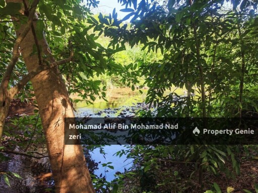 Dusun Buah-buahan untuk Di jual | Geran Individu | Below MV